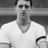 United Greats : Tommy Taylor
